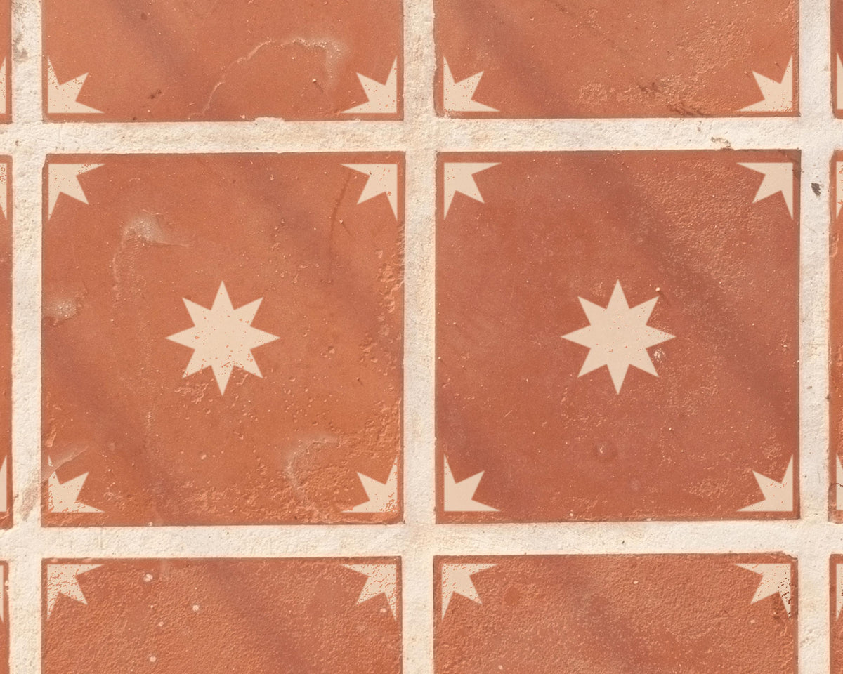 a close-up view of a tiled floor with a repeating pattern of white star-shaped designs.