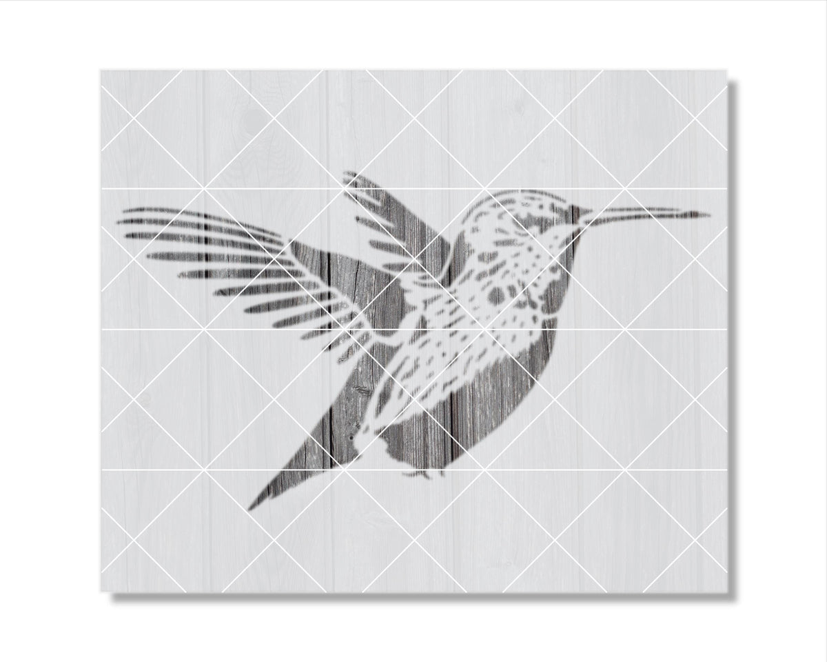 A black and white illustration of a bird, likely a hummingbird, with its wings spread out.