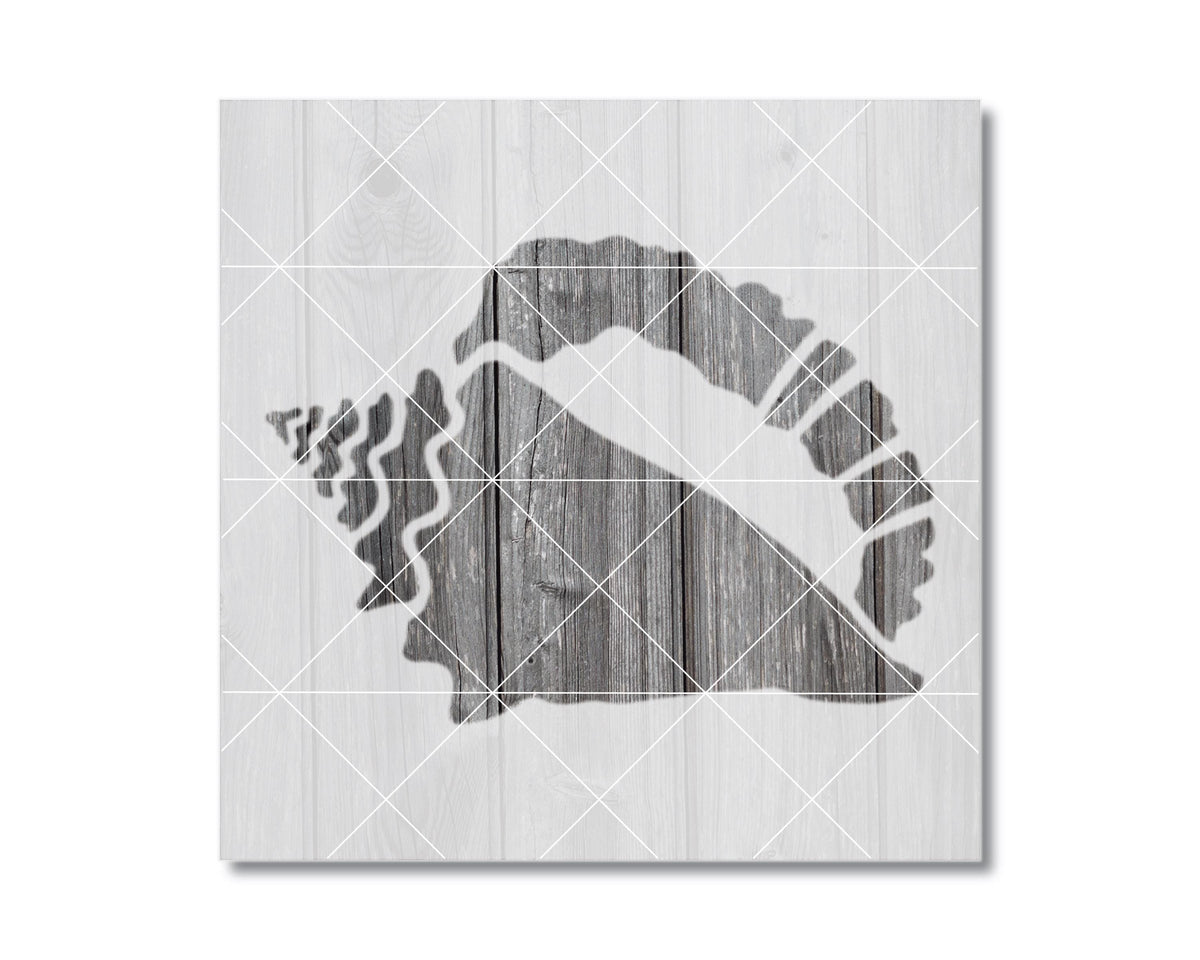 A silhouette of a shell is depicted on a wooden background, with a grid pattern overlaying it.