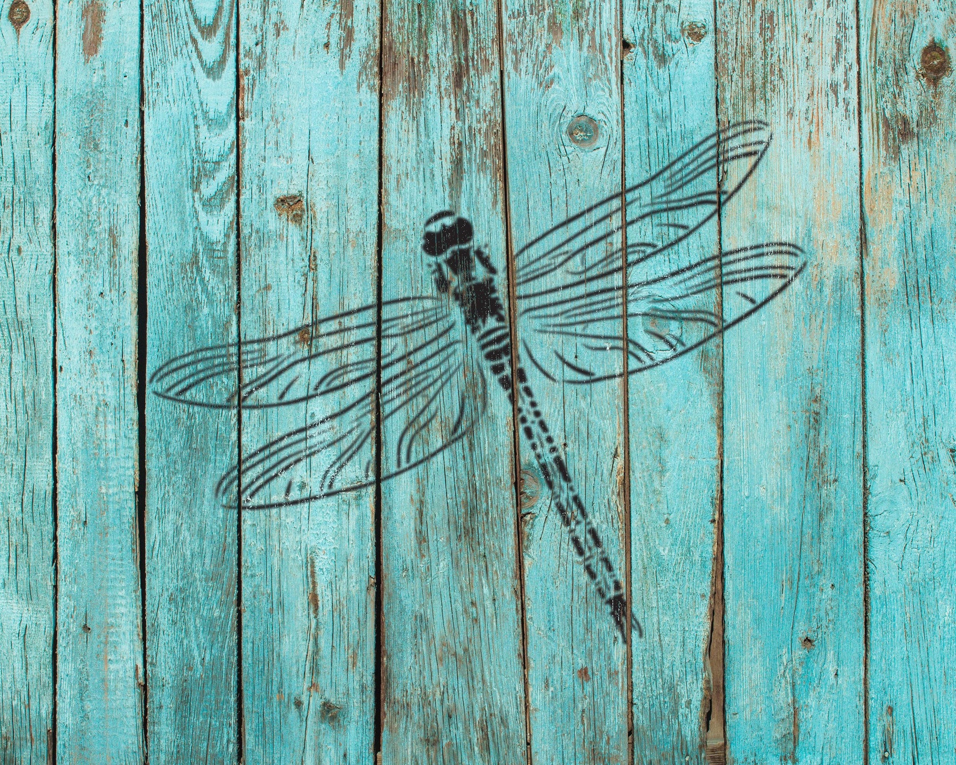 A black dragonfly is depicted on a weathered, turquoise wooden surface.