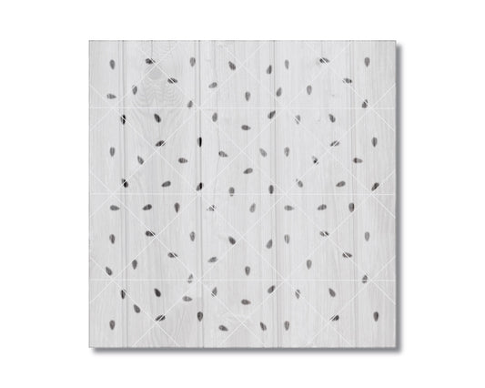 Seeds Stencil, Reusable Mylar for Painting and Crafts, 2369