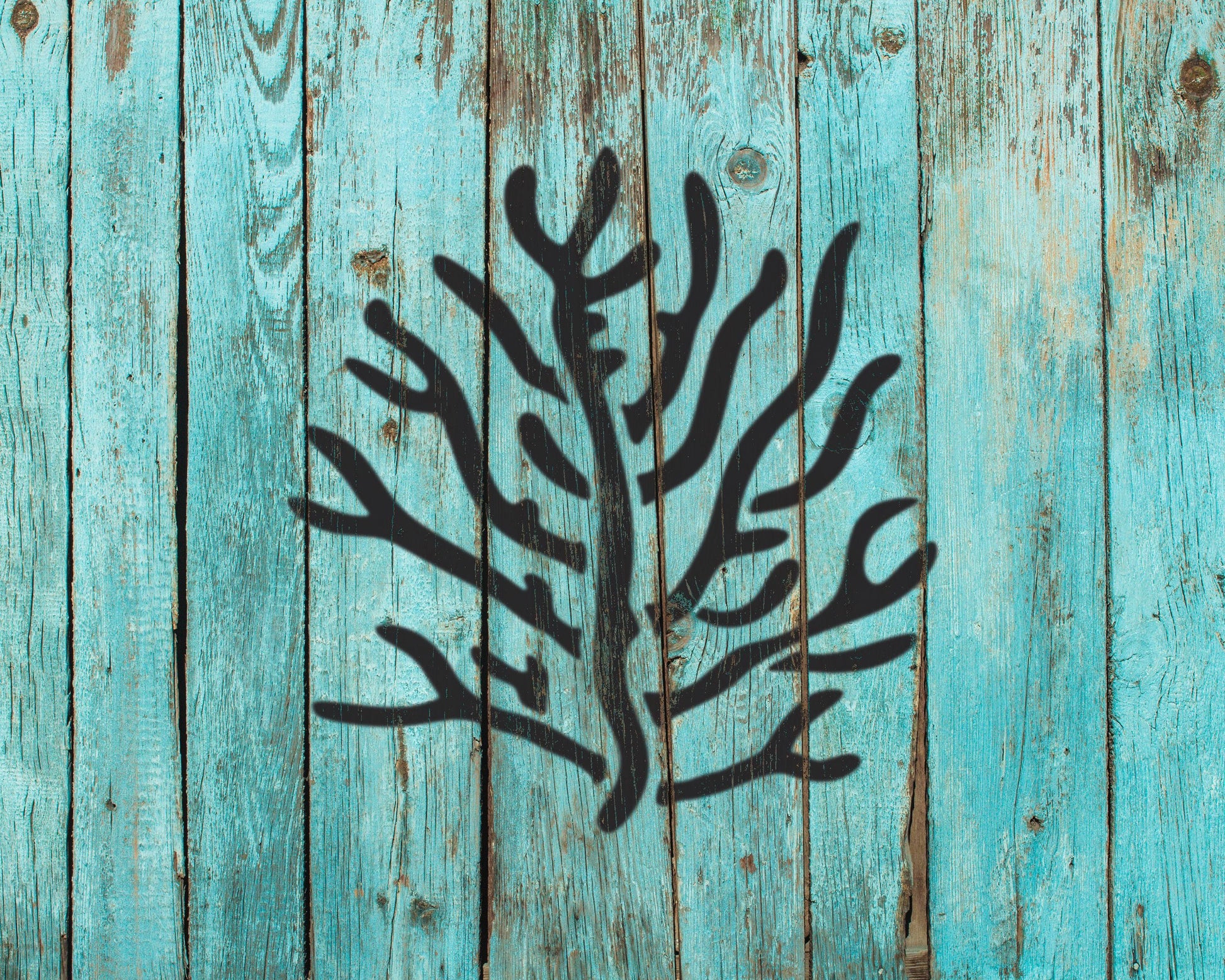 a black silhouette of a tree or plant against a blue wooden background.