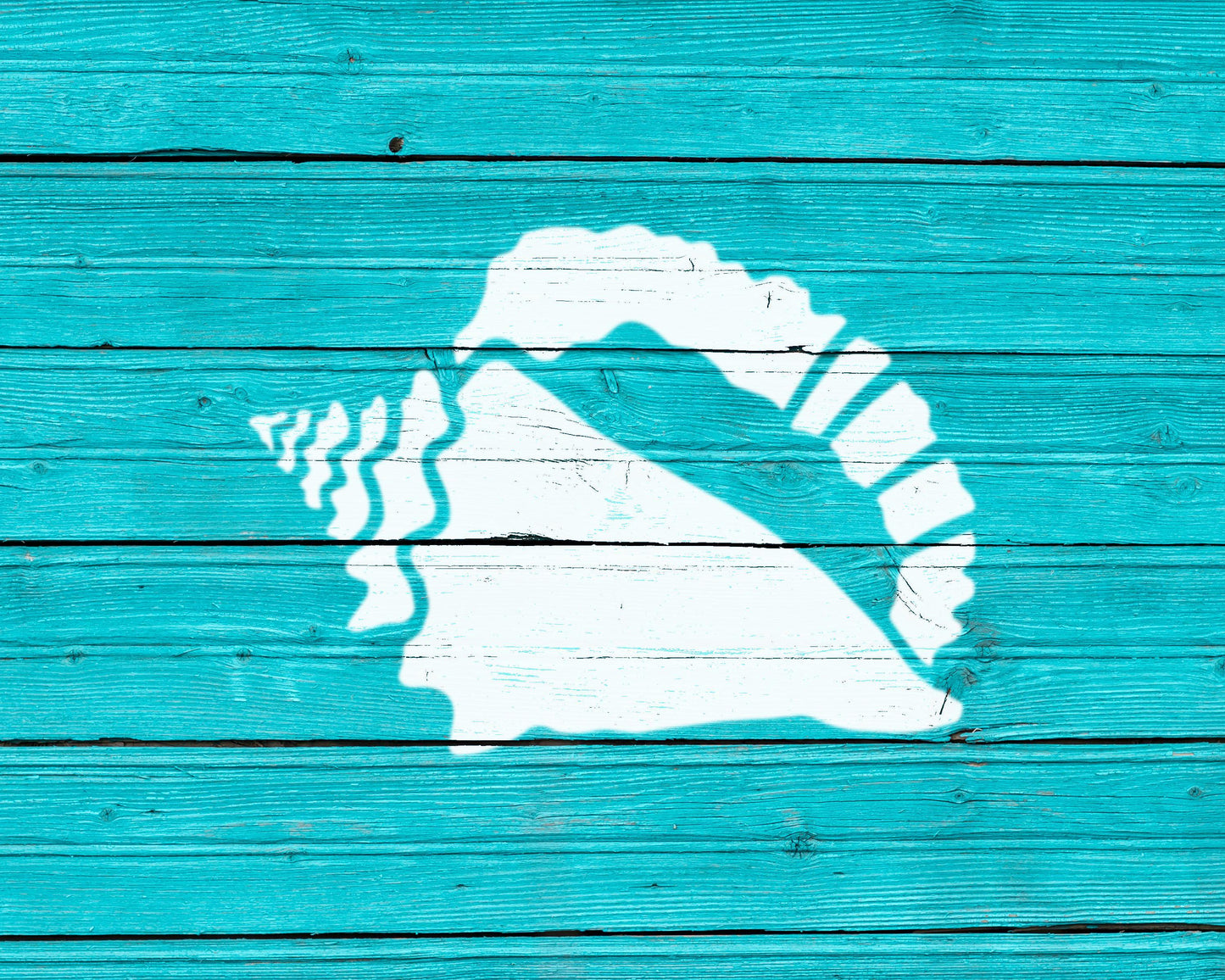 a white silhouette of a shell painted on a turquoise wooden surface.