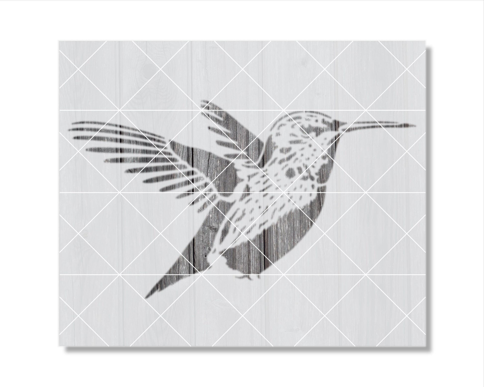 A black and white illustration of a bird, likely a hummingbird, with its wings spread out.