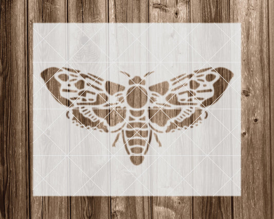 Moth Stencil, Reusable Stencil For Painting, 2281