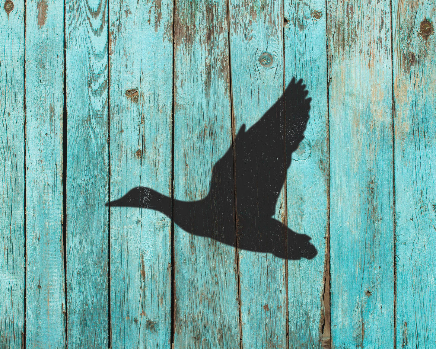 a silhouette of a bird in flight against a weathered wooden background.