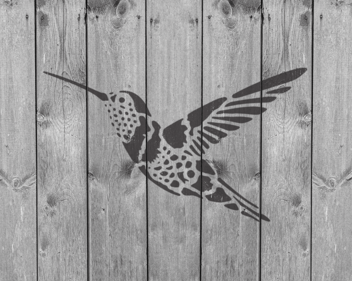A black and white image of a bird, likely a hummingbird, against a wooden background.