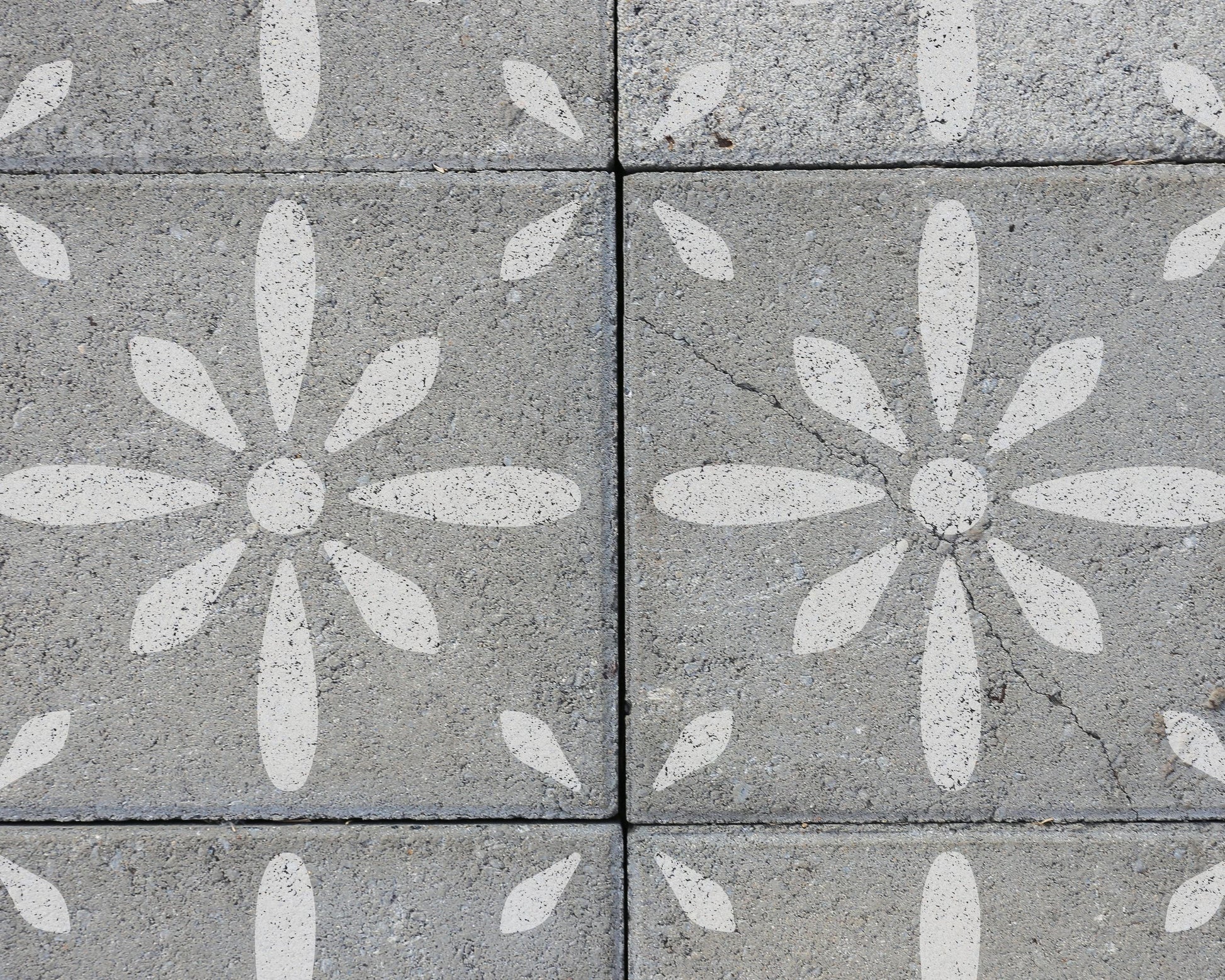 a close-up view of a patterned concrete surface, featuring white flower-like designs.