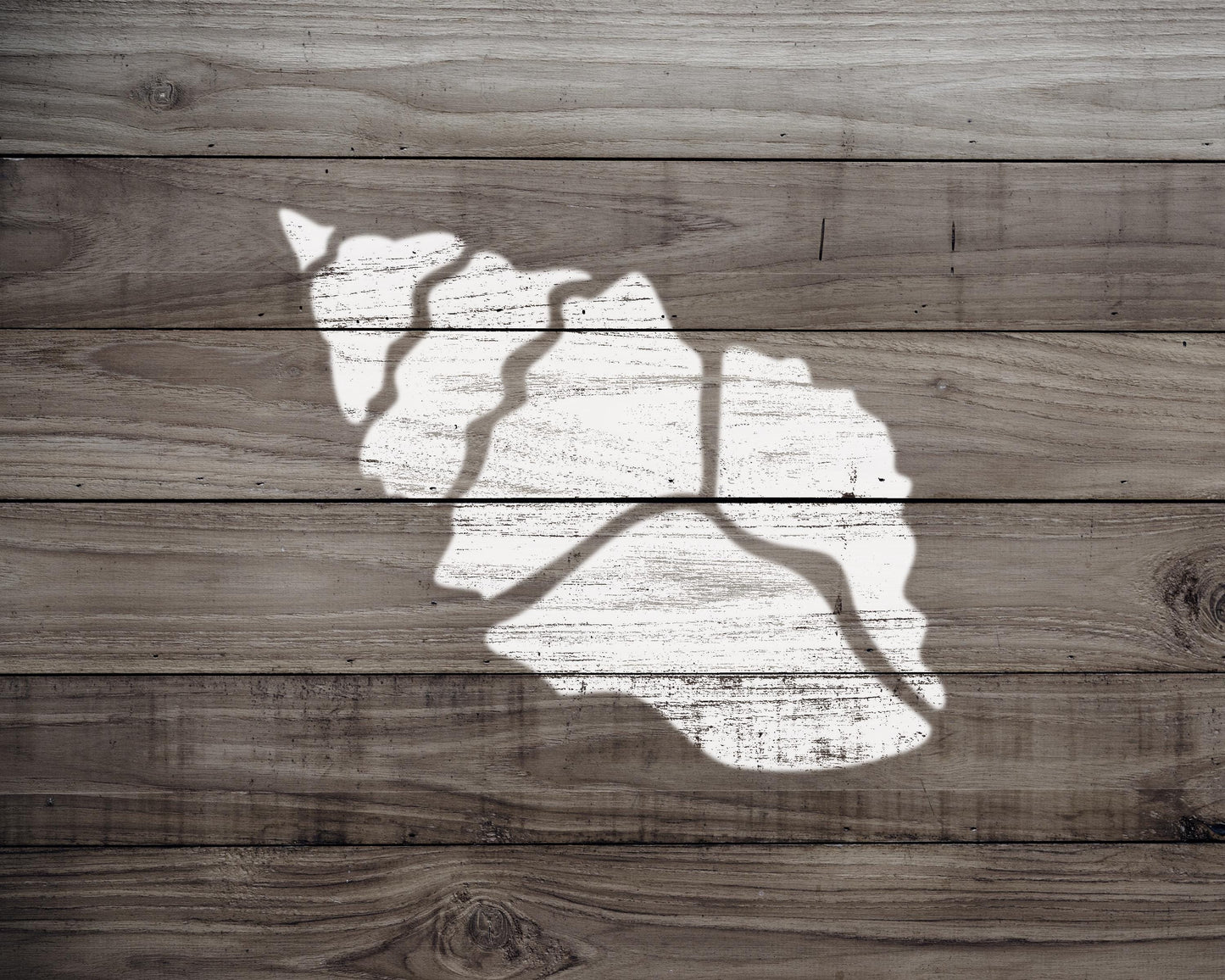 A white silhouette of a shell is painted on a wooden surface.