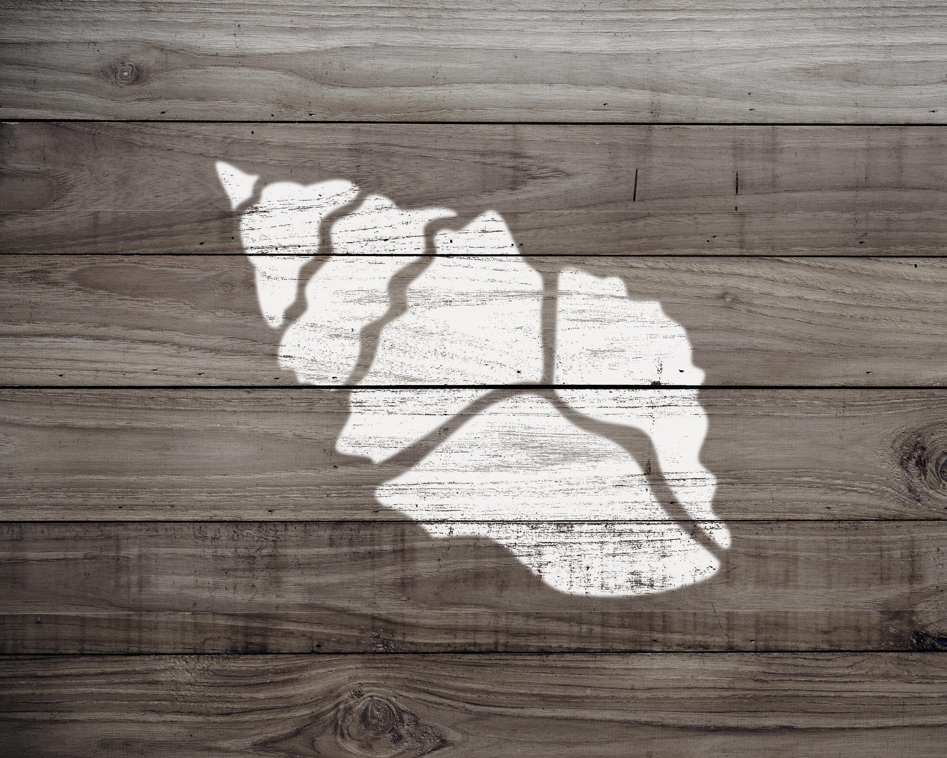 A white silhouette of a shell is painted on a wooden surface.