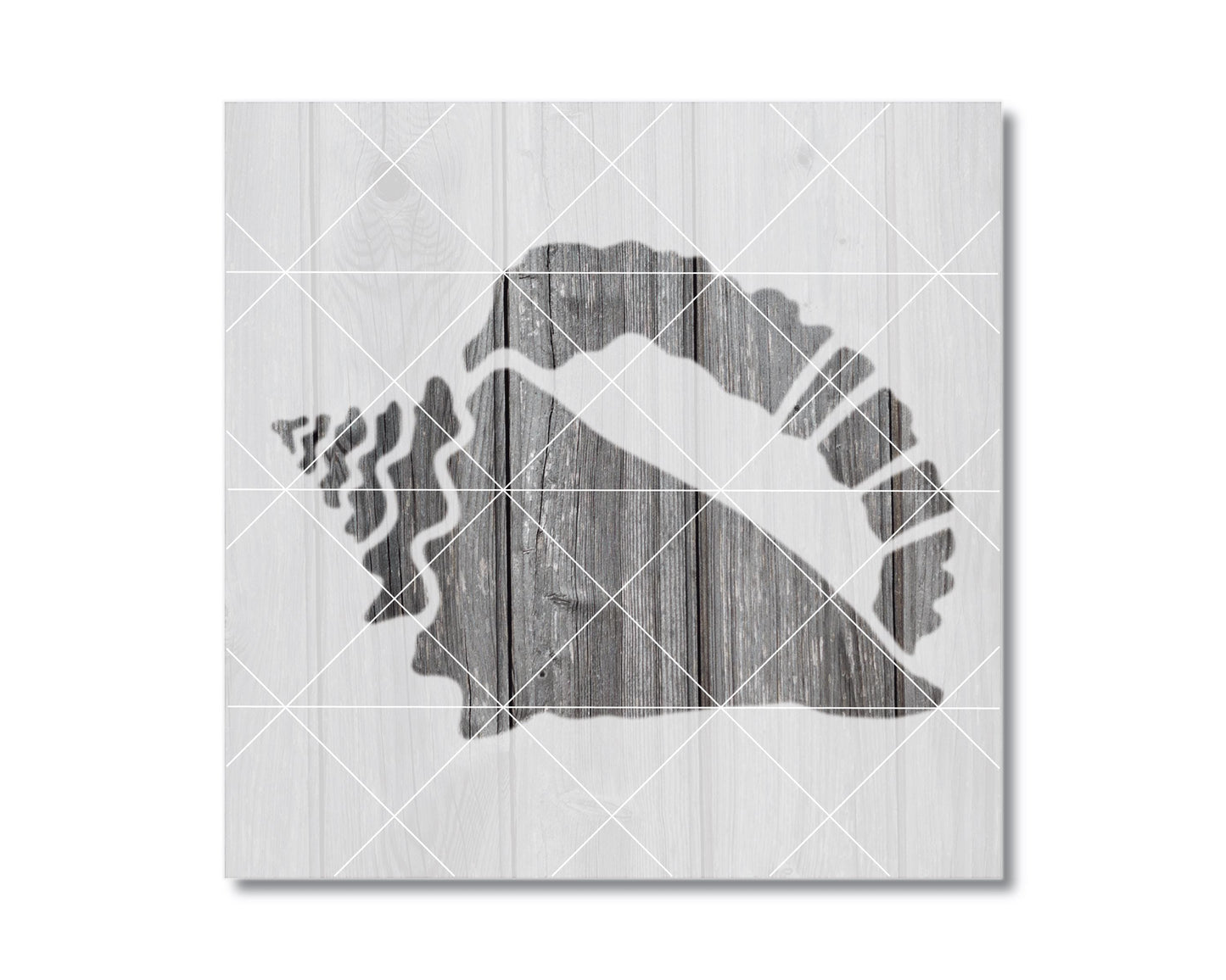 A silhouette of a shell is depicted on a wooden background, with a grid pattern overlaying it.