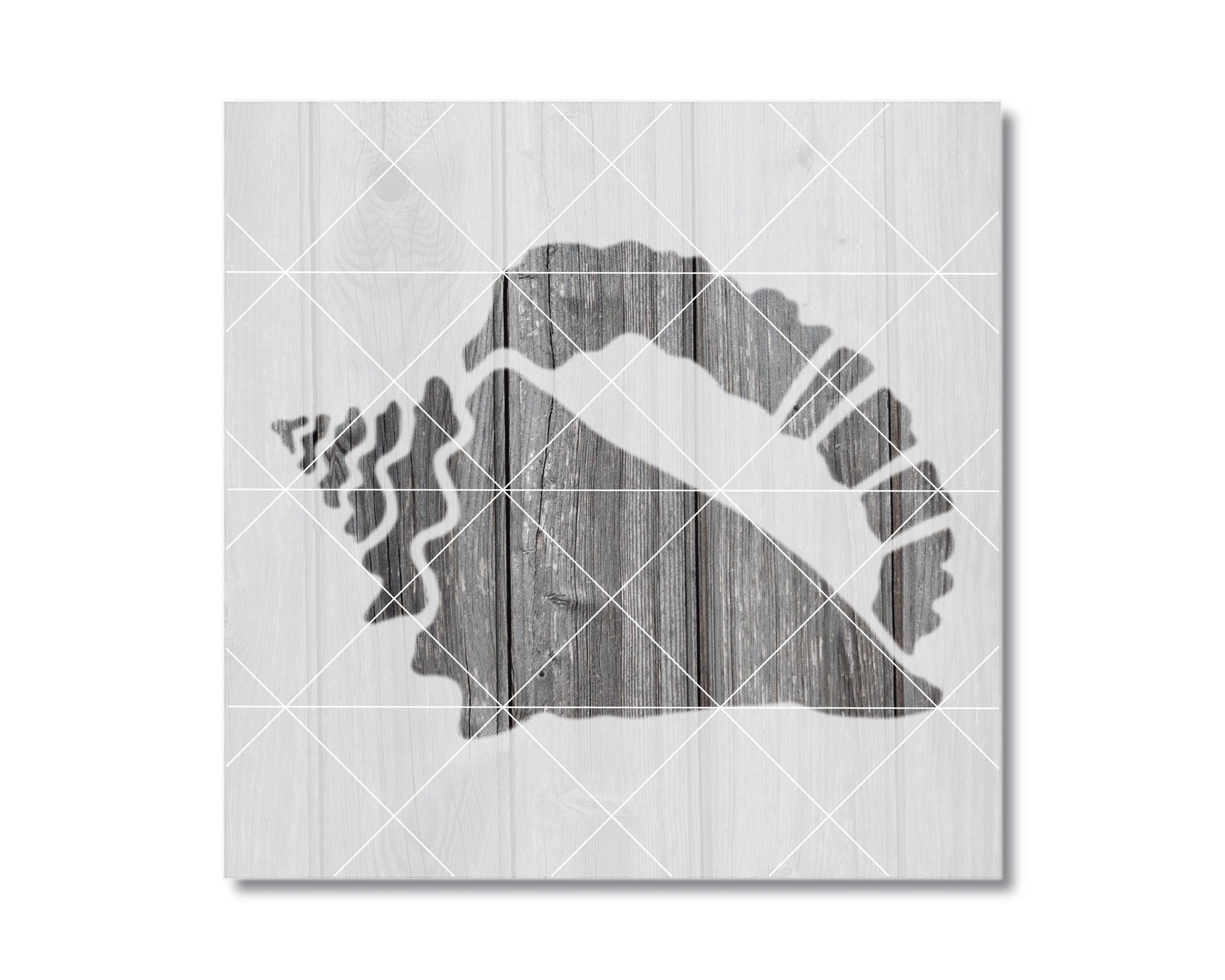 A silhouette of a shell is depicted on a wooden background, with a grid pattern overlaying it.