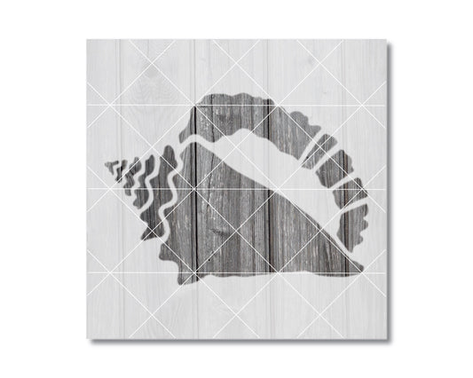 A silhouette of a shell is depicted on a wooden background, with a grid pattern overlaying it.