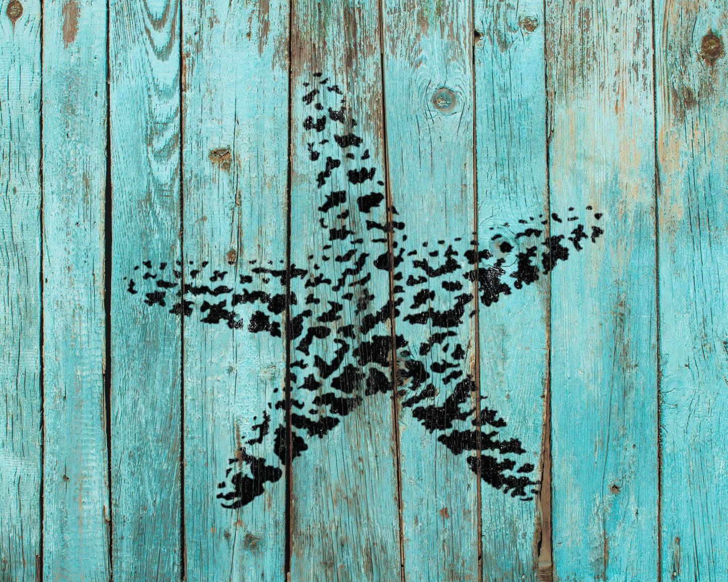 a close-up view of a starfish with a black and white pattern on a blue wooden background.