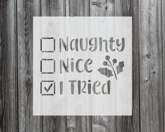 Naughty, Nice, I Tried Stencil, Reusable Stencil For Painting, 902