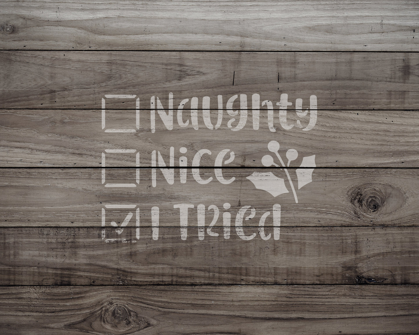 Naughty, Nice, I Tried Stencil, Reusable Stencil For Painting, 902